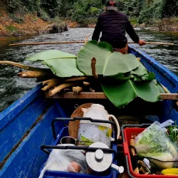 Nam Et-Phou Louey National Protected Area - Xiangkhouang