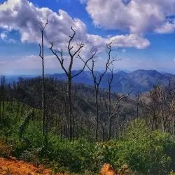 Nam Et-Phou Louey National Protected Area - Xiangkhouang