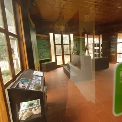 Nam Et-Phou Louey National Protected Area - Xiangkhouang