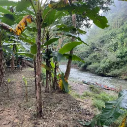 Nam Et-Phou Louey National Protected Area - Xiangkhouang