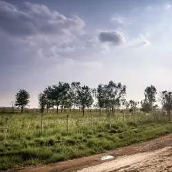 Phonsavan - Xiangkhouang