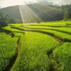 Phonsavan - Xiangkhouang