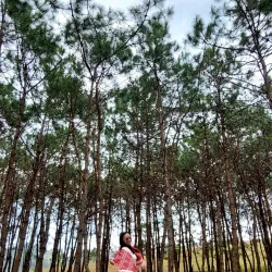 Phonsavan - Xiangkhouang