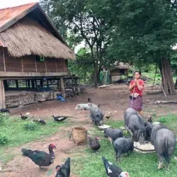 Phonsavan - Xiangkhouang