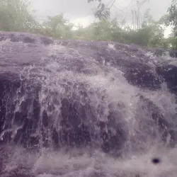 Phou Bia Mountain - Xiangkhouang