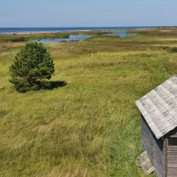 Local Fishing Villages - Ainazi