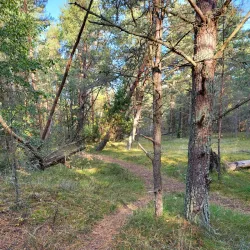 Nature Trails around Ainazi - Ainazi