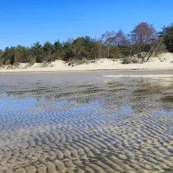 Pape Nature Park (nearby) - Ainazi