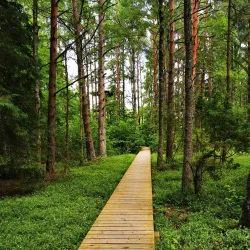 Pape Nature Park (nearby) - Ainazi