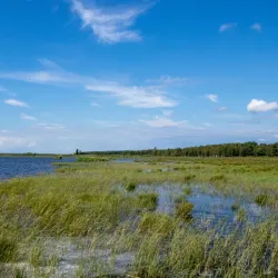 Pape Nature Park (nearby) - Ainazi