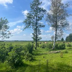 Pape Nature Park (nearby) - Ainazi