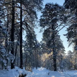 Nature Trails around Aizkraukle - Aizkraukle
