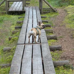 Nature Trails around Aizkraukle - Aizkraukle