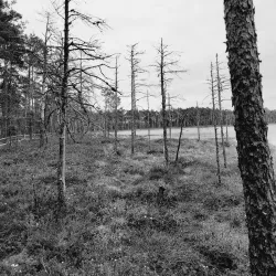 Nature Trails around Aizkraukle - Aizkraukle