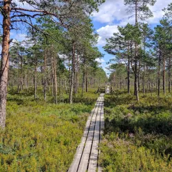 Nature Trails around Aizkraukle - Aizkraukle