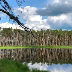 Nature Trails around Aizkraukle - Aizkraukle