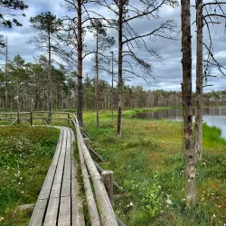 Nature Trails around Aizkraukle - Aizkraukle