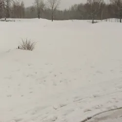 Aloja Museum - Aloja