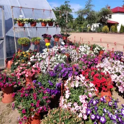 Aluksne Botanical Garden - Aluksne