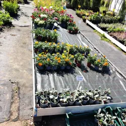 Aluksne Botanical Garden - Aluksne