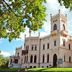 Aluksne Castle Ruins - Aluksne