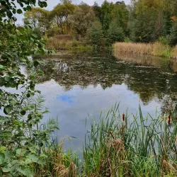 Nature Trails around Auce - Auce