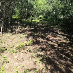 Nature Trails around Auce - Auce