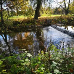 Nature Trails around Auce - Auce
