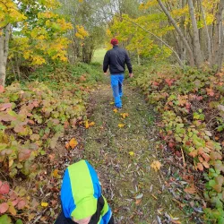 Nature Trails around Auce - Auce
