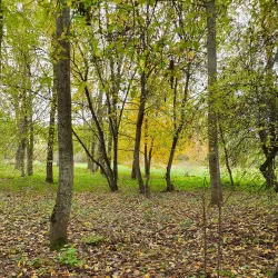 Nature Trails around Auce - Auce
