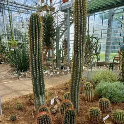 Baldone Botanical Garden - Baldone