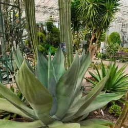 Baldone Botanical Garden - Baldone