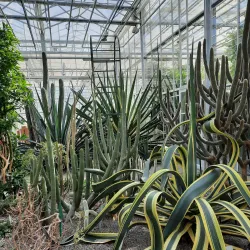 Baldone Botanical Garden - Baldone