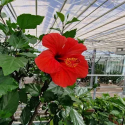 Baldone Botanical Garden - Baldone