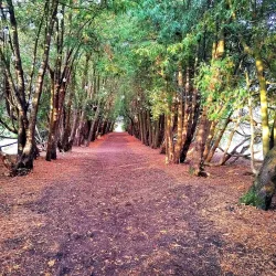 Baldone Botanical Garden - Baldone