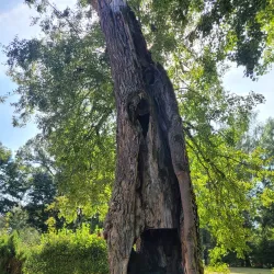 Baldone Historical Museum - Baldone