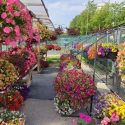 Cesis Market Square - Cesis