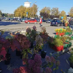 Cesis Market Square - Cesis