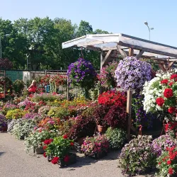 Cesis Market Square - Cesis