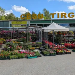 Cesis Market Square - Cesis