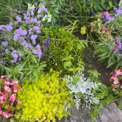 Dagda Local History Museum - Dagda