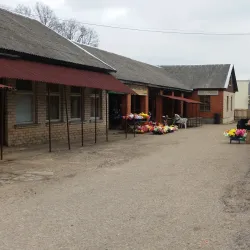 Dagda Market - Dagda