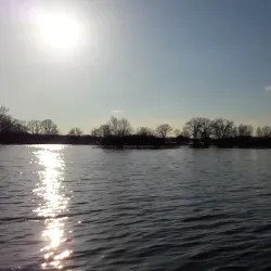 Dagda Market - Dagda