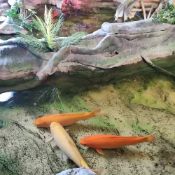 Latgale Zoo - Daugavpils