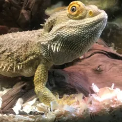 Latgale Zoo - Daugavpils