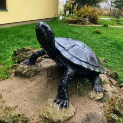 Latgale Zoo - Daugavpils