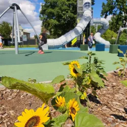 Dobele Park - Dobele