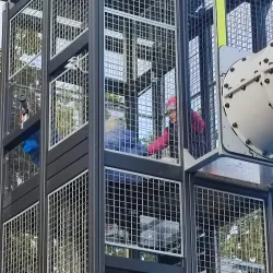 Dobele Park - Dobele