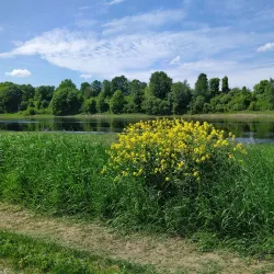 Lielupe River - Dobele