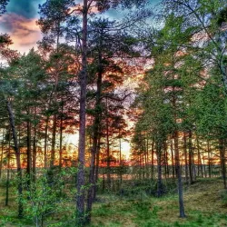 Lielupe River - Dobele